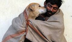 7 Instances that prove dogs are a man's best friend!