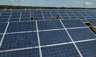 Punjab's largest solar project inaugurated in Bathinda