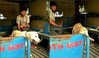 Somnath Bharti's Don gets clean chit from the court