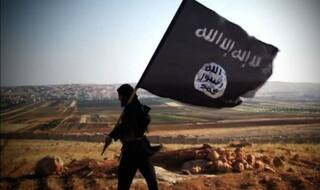 Only 5 per cent of Russian strikes on Syria target Islamic State (IS): Britain