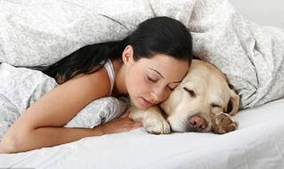 कुत्ते से हुआ ऐसा प्यार कि पत्नी ने पति को छोड़ दिया