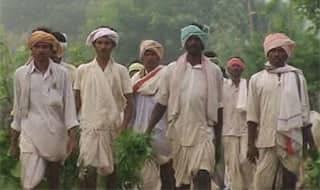 Farmers unions want higher compensation for suicides