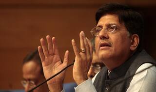 Bihar Assembly polls 2015: Nitish Kumar failed to provide electricity even after 10 yrs: Piyush Goyal