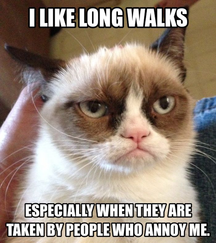 21 Grumpy Cat memes to instantly make you grumpy however happy you are!