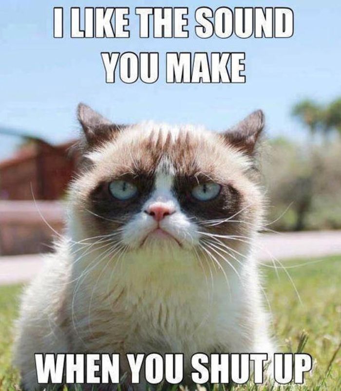 21 Grumpy Cat Memes To Instantly Make You Grumpy However Happy You Are 21 Grumpy Cat Memes To Instantly Make You Grumpy However Happy You Are
