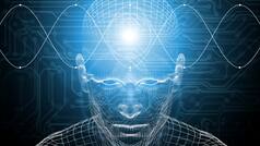 Environment has extensively shaped human brain