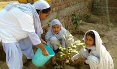 Baidu India plants over 1000 trees for a greener and cleaner India