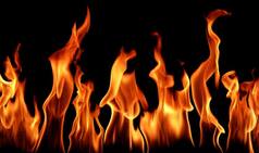 Forest fires: NGT seeks Uttarakhand reply on plea for CBI inquiry