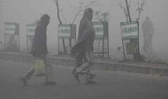 Severe Cold Wave Conditions To Persists In THESE States This Week. Full IMD Forecast Here