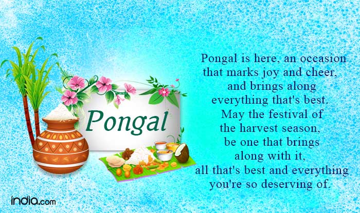 Pongal 2016 Wishes: Best Pongal SMS, WhatsApp & Facebook Messages to ...