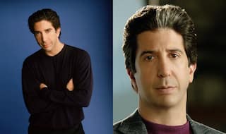 David Schwimmer finds fame 'painful'