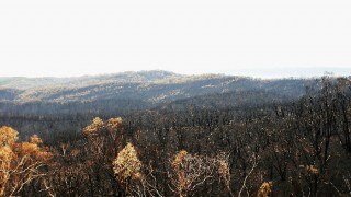 उत्तराखंड के जंगलों में 90 दिनों से लगी आग पड़ने लगी ठंड़ी, राहत की बारिश