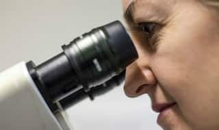 Indians develop technology for effective cancer treatment