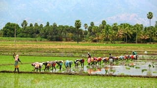 Farmers protest at YEIDA, demand increased compensation