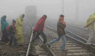 Cold wave grips parts of Punjab and Haryana, fog disrupts normal life