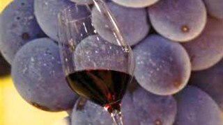 Blueberries, red wine can help in erectile dysfunction