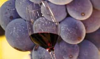 Blueberries, red wine can help in erectile dysfunction