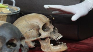 11 Skulls, 54 Bones Of Foetuses Found At Hospital In Maharashtra's Wardha, Probe Underway