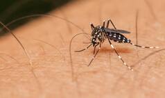 Puerto Rico: 19 Zika virus cases found in country, says official