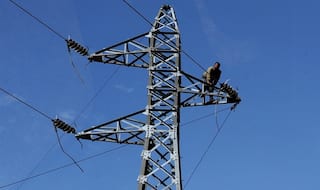 TRAI mulls cable TV network for better data connectivity