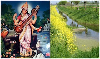 Vasant Panchami 2017: Know Puja Muhurat, Puja Vidhi & auspicious timings to celebrate the arrival of spring season with Saraswati Puja and Basant Panchami!