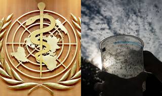 Zika virus: Test vaccines to tackle disease to take another 18 months, says WHO