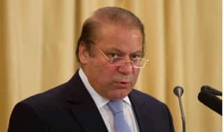 पाकिस्तान में अगले 5 साल में रोपे जाएंगे 10 करोड़ पौधे