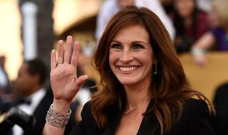 Julia Roberts to play lawyer in 'Train Man'