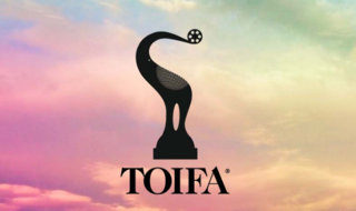 TOIFA 2016: Bollywood stars to add sparkle in Dubai