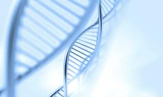 Gene holds key to no grey hair: study