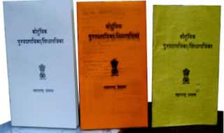 One Nation, One Ration Card From June 1, New Ration Cards Not Required