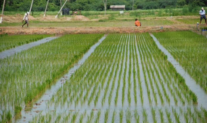 WB Approves $ 130M Loans to Improve Punjab Irrigation – Abb Takk News