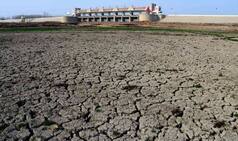 Beed water crisis: Water tankers meant for people, sold to businessman in drought-hit Maharashtra