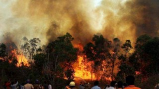 Uttarakhand Forest Fire: Six killed, several injured; 10 developments
