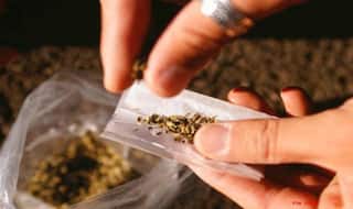 18.5 tonnes of drugs worth Rs 2000 crore seized in Thane; 5 people arrested