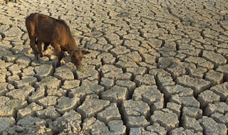 Mumbai school kids pool in Rs 20 lakh for drought-hit people