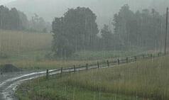 Rain spell brings relief to blazing forest fires in Uttarakhand