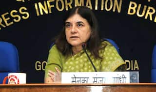 'Ahimsa' Meat May End Lynching, Violence by Cow Vigilantes: Maneka Gandhi