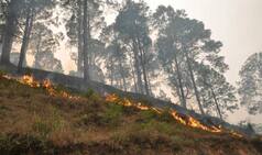 Uttarakhand Forest Fire: A calculated ploy by timber mafia or builder lobby?