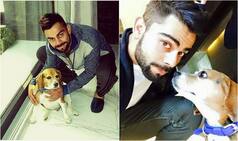 Virat Kohli's unconditional love for his pet Bruno will melt your heart! View pics