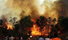 Uttarakhand forest fire: Affected areas down by over 70 per cent, says NDRF