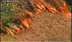 Forest fires: Ground fires in Himachal Pradesh under control
