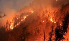 Rajnath Singh reviews forest fire situation in Uttarakhand