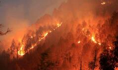 Uttarakhand Forest Fires can have devastating effect on state's glaciers and rivers of North India, says experts