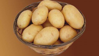 More Than 51 Per Cent Indians Eat Potatoes Every Day, Reveals Study