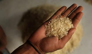 Centre Gives Nod to Use Surplus Rice For Hand Sanitizers, But What About Thousands of Needy?