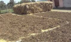 Tobacco farmers, retailers protest 85pc pictorial warning