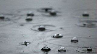 North, West Maharashtra Including Western Mumbai Receive Unseasonal Rainfall North, West Maharashtra Including Western Mumbai Receive Unseasonal Rainfall