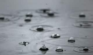 HP to Receive Rainfall in Few Hours, IMD Predicts; Heavy Showers Expected in Odisha in Next 3 Days