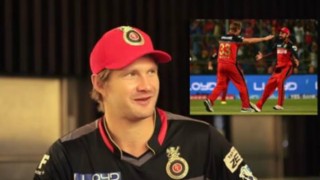 IPL 2016: Watch Shane Watson sing 'lungi dance' with Mr. Nags and more!